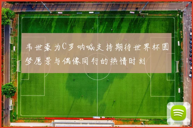 韦世豪为C罗呐喊支持期待世界杯圆梦愿景与偶像同行的热情时刻